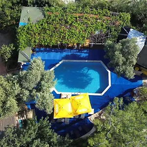Shiva Camp Faralya